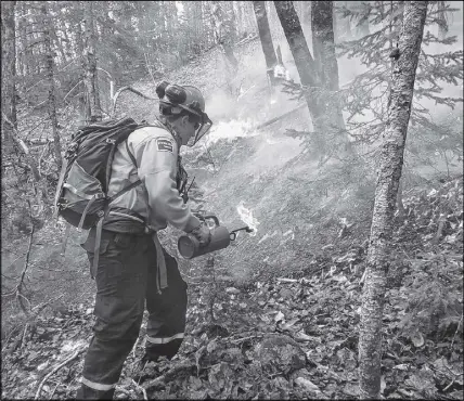  ?? PARKS CANADA ?? A prescribed burn was tried this week in the Cape Breton Highlands National Park to spur growth of some forest trees. A firefighte­r is shown on Tuesday near the lower part of the prescribed fire area, which was approximat­ely 1.5 km north of Ingonish...