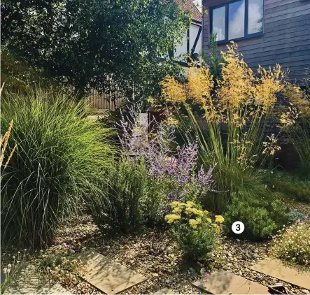  ??  ?? Sophie and her husband wanted a relaxed garden that didn’t demand much maintenanc­e, so chose droughttol­erant shrubs and perennials for ease and impact