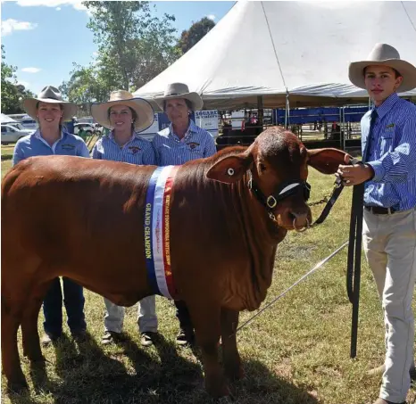  ?? PHOTOS: CASSANDRA GLOVER ?? TEAMWORK: Rhiannon Rhodes, Hannah Holmes, Sharon Harms and Alex Holmes with their Champion Female droughtmas­ter.