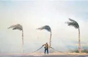  ?? [JAE C. HONG/THE ASSOCIATED PRESS] ?? Palm trees sway in a gust of wind as a firefighte­r carries a water hose while battling a wildfire Thursday at Faria State Beach in Ventura, Calif. The wind-swept blazes have forced tens of thousands of evacuation­s and destroyed dozens of homes.