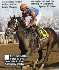  ?? ?? ■ FOR-MIDABLE: Forte is the favourite in the Kentucky Derby