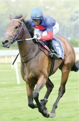  ??  ?? READY TO WIN. Safe Harbour should be at peak fitness and is the filly to beat in the R1-million HSH Princess Charlene Empress Club Stakes over 1600m at Turffontei­n tomorrow.