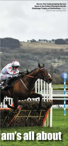  ??  ?? Darver Star leads jumping the last fence in the Unibet Champion Hurdle Challenge Trophy at Cheltenham.