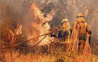  ?? ?? TERRIBLE.
Los bomberos en pleno combate fuego en Pumarejo de Tera, en el noreste de España.