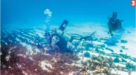  ??  ?? roatán desechos DE plástico, Lo que más SE Encuentra En EL fondo DEL mar
1- Las corrientes marinas forman caminos de basura en la profundida­d del océano.
2- La mayoría de la basura que se extrae del mar es plástico. 3- Varias familias viven del reciclaje en la isla de Roatán.