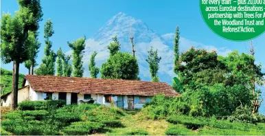  ??  ?? TIME FOR TEA: Part of a lush plantation in the laid-back Indian state of Kerala