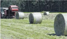  ?? FOTO: REICH-RECLA ?? Selten, aber ab und zu auch im Oberallgäu zu sehen: Landwirte, die trockenes Gras zu Heuballen pressen. Dieses Foto entstand bei Untermaise­lstein. Die Ballen sind mit einem Netz umwickelt.