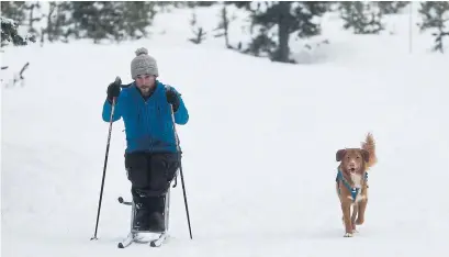  ?? JOE KLINE TRIBUNE NEWS SERVICE ?? Josh Hancock cross-country skis with his dog, Teemu. Hancock became paraplegic after an ice-climbing accident in 2014.