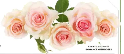  ?? ?? CREATE A SUMMER ROMANCE WITH ROSES