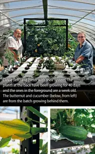  ??  ?? Dirkie (left) and Pieter with their system. The plants at the back have been growing for 40 days and the ones in the foreground are a week old. The butternut and cucumber (below, from left) are from the batch growing behind them.