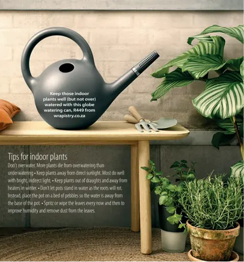  ??  ?? Keep those indoor plants well (but not over) watered with this globe watering can, R449 from wrapistry.co.za