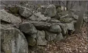  ??  ?? A portion of one of the stone walls on the property owned by Christina Smith in District Township. Smith theorized that colonists constructe­d the walls as they cleared rocks from the land, but the structures might date to earlier, as well.