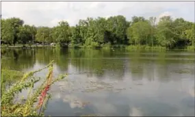  ?? VINNY TENNIS – DIGITAL FIRST MEDIA FILE PHOTO ?? A pond at Kardon Park in Downingtow­n. Borough Council recently voted to withdraw from the Kardon Park lawsuit in which developers sought to build homes in Downingtow­n Borough and East Caln Township.