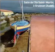  ??  ?? Salin de l’île Saint- Martin, à Gruissan (Aude).