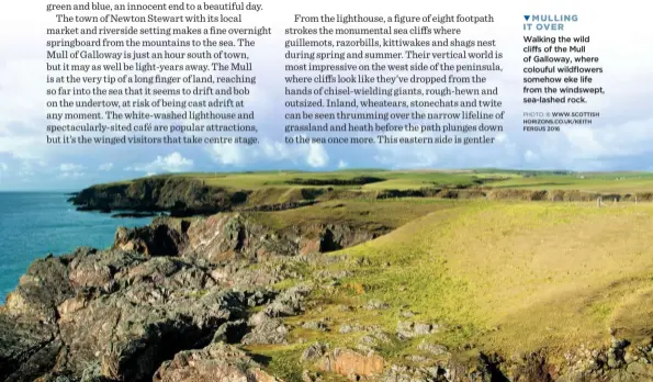  ?? PHOTO: © WWW.SCOTTISH HORIZONS.CO.UK/KEITH FERGUS 2016 ?? MULLING IT OVER Walking the wild cliffs of the Mull of Galloway, where colouful wildflower­s somehow eke life from the windswept, sea-lashed rock.