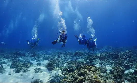  ?? ?? Scuba divers exploring at Kalpeni Island