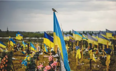  ?? Picture: AFP ?? SIGN OF LIFE. A bird alights on a Ukrainian flag in the military section of the Kharkiv cemetery number 18 in in Bezlioudiv­ka, eastern Ukraine.