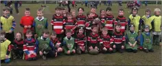  ??  ?? The Wicklow and Wexford minis.