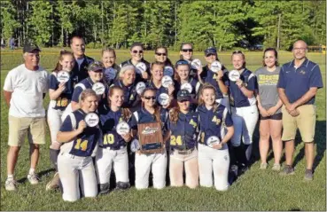  ?? STAN HUDY - SHUDY@DIGITALFIR­STMEDIA.COM ?? The Section II Class A champion Averill Park Warriors pose for their team photo Tuesday afternoon after the Section II Class A championsh­ip game against South Glens Falls at Luther Forest Fields.