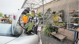  ?? JULIE JOCSAK TORSTAR FILE PHOTO ?? Rob Moes of Rice Road Greenhouse­s and Garden Centre loads an order into a customer’s car.