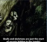  ?? ?? Skulls and skeletons are just the start of secrets hidden in the jungle!