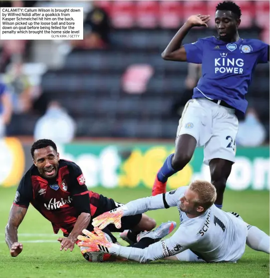  ?? GLYN KIRK / GETTY ?? CALAMITY: Callum Wilson is brought down by Wilfred Ndidi after a goalkick from Kasper Schmeichel hit him on the back. Wilson picked up the loose ball and bore down on goal before being felled for the penalty which brought the home side level