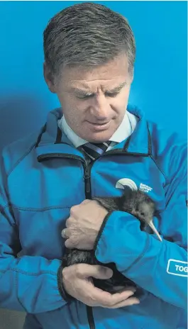  ??  ?? Bill English cradles a kiwi chick at Rainbow Springs in Rotorua yesterday while on a visit to learn more about the park's kiwi conservati­on work.