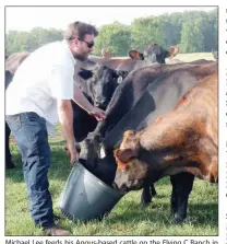  ??  ?? Michael Lee feeds his Angus-based cattle on the Flying C Ranch in Faulkner County. Lee keeps the heifers in the herd or sells them and harvests the steers for the family’s “farm-to-table” program.