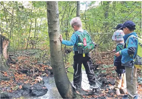  ?? FOTO: ANTJE SEEMANN (ARCHIV) ?? In einem Waldkinder­garten erleben die Kinder die Jahreszeit­en hautnah - denn sie sind immer draußen.