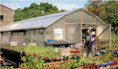  ?? Nick Turner ?? Pick up some inspiratio­n at the wildflower nursery at Grow Wilder