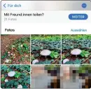  ?? ?? Apples Fotosanwen­dung erkennt die abgebildet­en Personen und schlägt vor, dass du mit diesen gemeinsame Ausflüge und Events teilst.