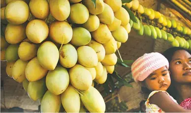  ??  ?? GOLDEN PILLOWS – A local Guimarasno­n mother and child pose beside mangoes during this year’s ‘Manggahan’ Festival in Jordan, Guimaras. Guimaras mangoes, which the Thais refer to as “golden pillows,” are considered to be one of, if not The best tasting...