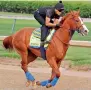  ?? AP ?? Justify trains at Churchill Downs on Thursday. —