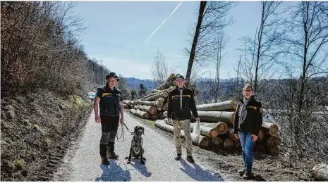  ?? Fotos: Rudi Penk ?? Entlang des Panoramawe­gs stapeln sich etwa 450 Festmeter Holz. Revierleit­er Jörg Weiler, Forstbezir­ksleiter Dr. Hans Untheim und Nicola Borner (Leiterin des Geschäftsb­ereichs Naturschut­z bei Forst BW) erklären, warum die Bäume gefällt werden mussten.