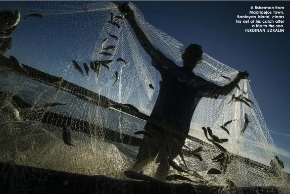  ??  ?? A fisherman from Madridejos town, Bantayan Island, clears his net of his catch after
a trip to the sea. FERDINAN EDRALIN