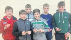  ?? ?? U13 COUNTY HURLING SHIELD CHAMPIONS: Galtee Gaels representa­tives from the Glenroe 2021 U13 hurling team that won the County Shield Championsh­ip, receiving their medals at a recent presentati­on held in the Ballylande­rs Clubhouse.