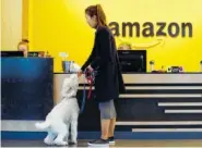  ?? THE ASSOCIATED PRESS ?? An Amazon employee gives her dog a biscuit as the pair head into a company building, where dogs are welcome in Seattle. Amazon says it received 238 proposals from cities and regions hoping to be the home of the company's second headquarte­rs.