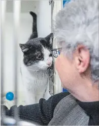  ??  ?? Nash, left, has a soft spot in her heart for troubled and difficult felines. She is pictured with Peter.