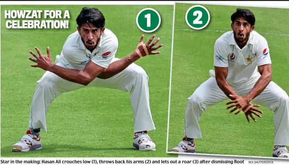  ??  ?? Star in the making: Hasan Ali crouches low (1), throws back his arms (2) and lets out a roar (3) after dismissing Root