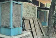  ??  ?? Fans and desert coolers have been installed for tigers and lions in separate enclosures to protect them from the scorching heat