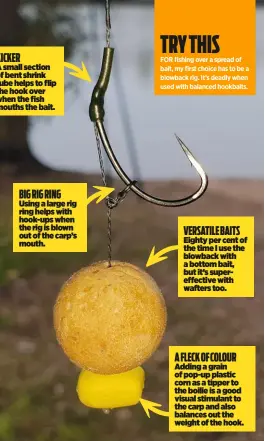  ??  ?? KICKER
A small section of bent shrink tube helps to flip the hook over when the fish mouths the bait.
BIG RIG RING
Using a large rig ring helps with hook-ups when the rig is blown out of the carp’s mouth.
VERSATILE BAITS
Eighty per cent of the time I use the blowback with a bottom bait, but it’s supereffec­tive with wafters too.
A FLECK OF COLOUR
Adding a grain of pop-up plastic corn as a tipper to the boilie is a good visual stimulant to the carp and also balances out the weight of the hook.