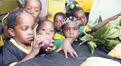  ?? BROWN/PHOTOGRAPH­ER RUDOLPH ?? LEFT: Students at Faith Preschool in Denham Town, west Kingston, learn about local foods during Jamaica Day activities, yesterday.