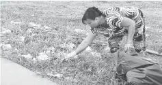  ??  ?? A woman from Sibu Jaya picks up rubbish at the ground near her house.