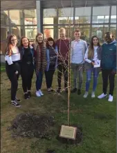  ??  ?? Classmates of Cameron Reilly who planted a tree at DkIT in memory of the student.