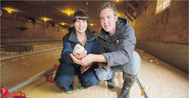  ?? MARK YUEN/ VANCOUVER SUN ?? Kimberly Driediger and husband Brad are fifth- generation chicken farmers and managers of Windberry Farms, a certified organic chicken farm located in Abbotsford.