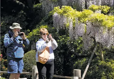  ?? Photos by Paul Chinn / The Chronicle ?? Maurice and Sheri Passwater, Iowans visiting on their honeymoon, shoot in the Japanese Tea Garden.