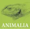  ??  ?? «Αnimalia» είναι ο τίτλος της έκθεσης που ανοίγει στον Ιανό στις 4/10.