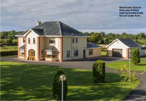 ??  ?? Blackwater Stud on 62ac near Enfield sold by private treaty for just under €1m