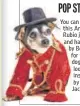  ?? PHOTO: GETTY IMAGES ?? POP STAR You can opt for this Anthony Rubio jacket and hat worn by Bogie, for your dog. The look is inspired by Michael Jackson.