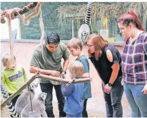  ?? FOTO: TERRAZOO ?? Im Terrazoo Rheinberg bekommen die Kinder die Gelegenhei­t, verschiede­ne Tiere zu streicheln